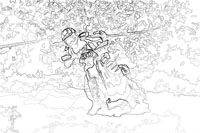 Pour agrandir le dessin, pour l'imprimer ou pour l'enregistrer: cliquez ici